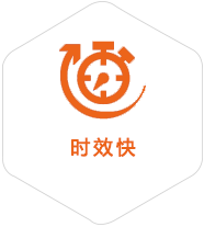 恩阳到德国物流公司